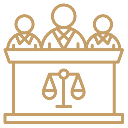 Zastupovanie pred súdmi a správnymi orgánmi